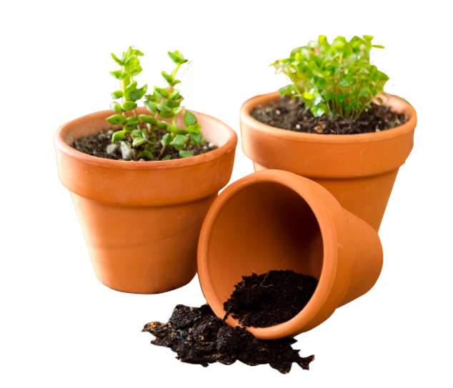 MACETAS ACCESORIOS PARA PLANTAS AURA BOTANICA POT